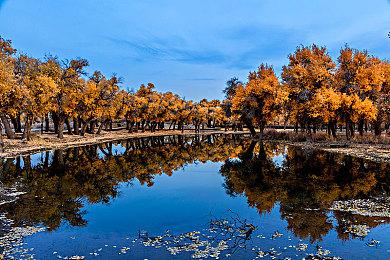 《GT赛车7》已成为M站用户评分最低的索尼游戏